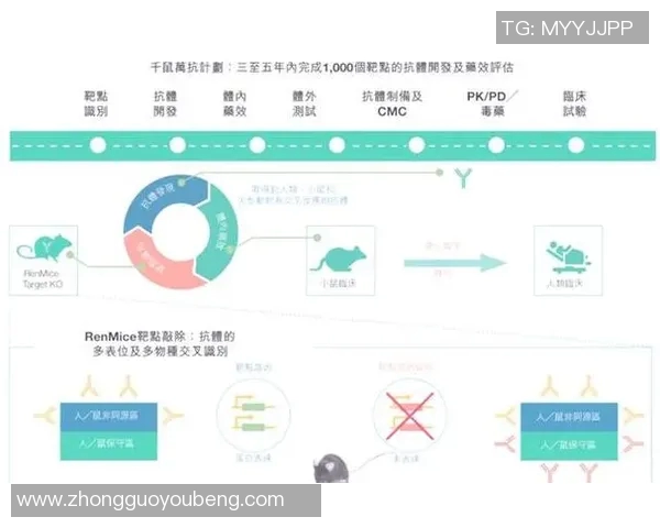 生物科技创新引领未来发展趋势探索与应用前景分析