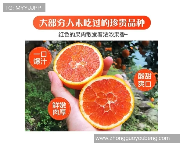 秋风送爽果园采摘季节，亲手采摘新鲜水果体验自然之美