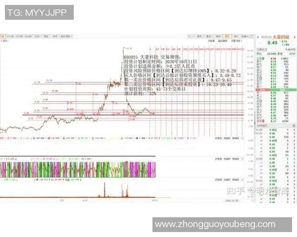 广州羽毛球队运营分析：成功经验与面临挑战的深度探讨